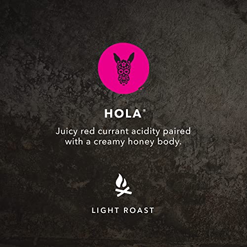 Kicking Horse Coffee, Hola, Light Roast, Whole Beans, 454 Grams